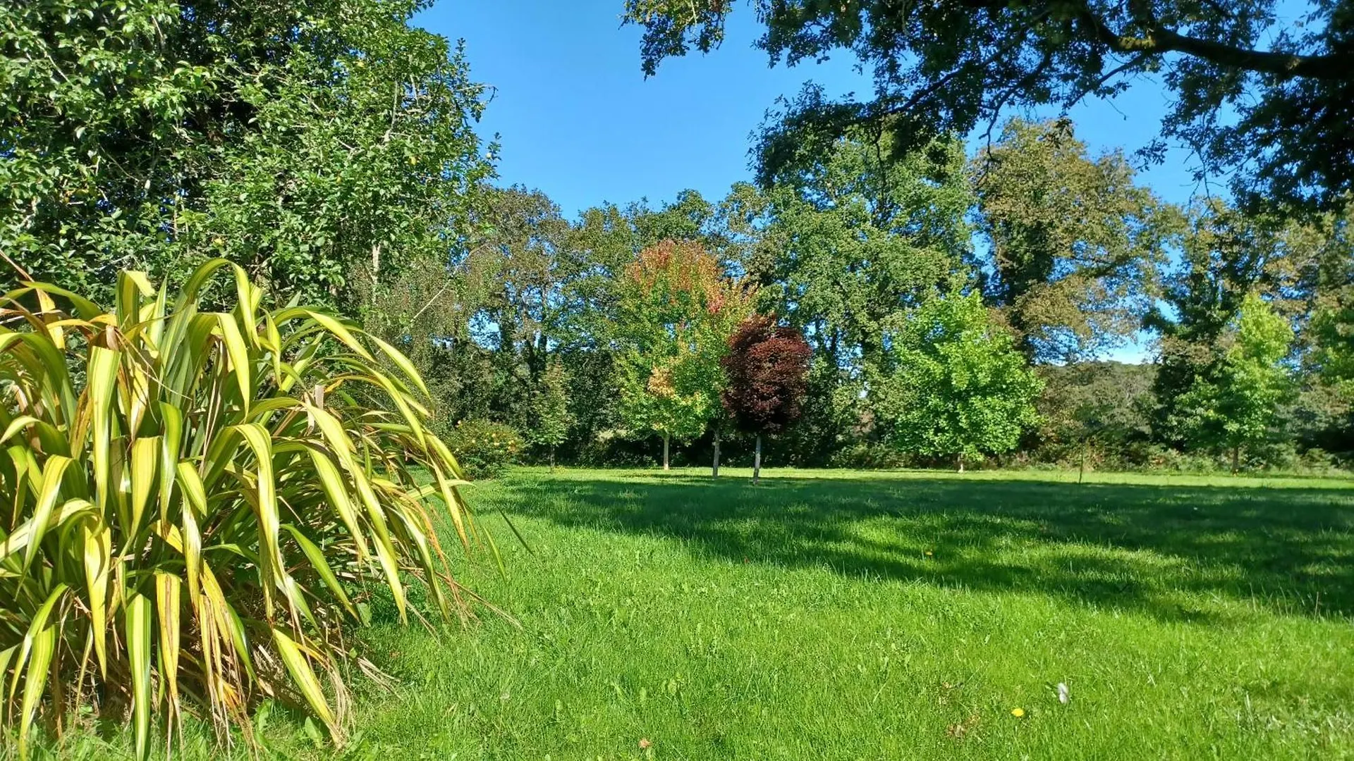 La Petite Maison Dans La Prairie Plouay